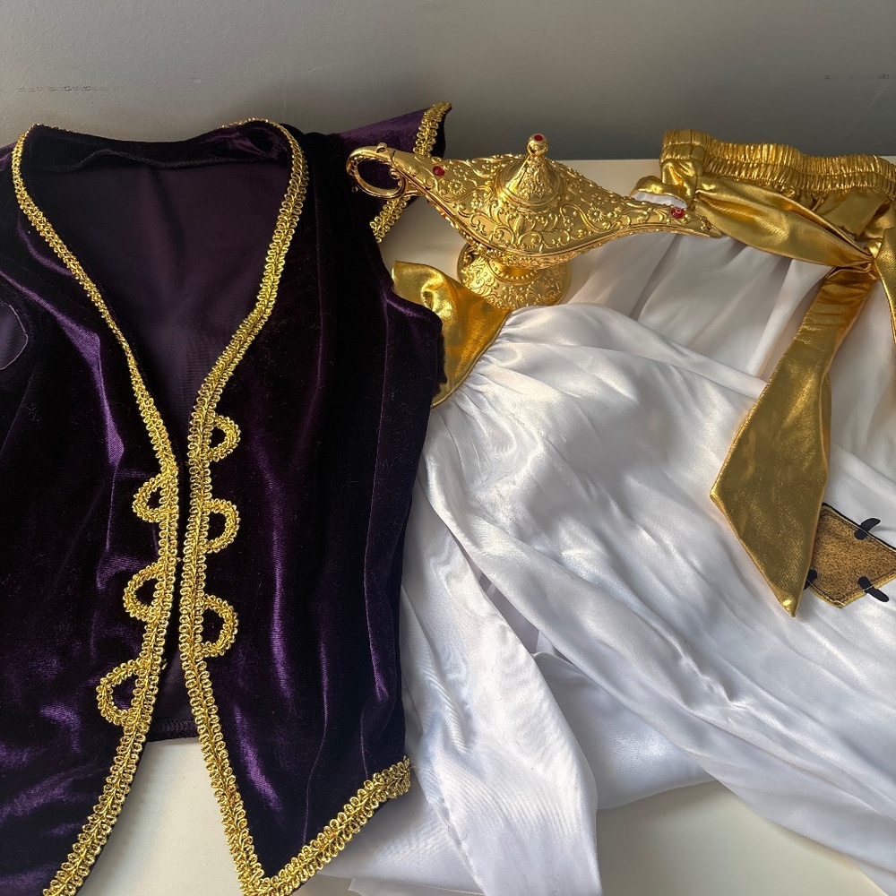 Aladdin costume